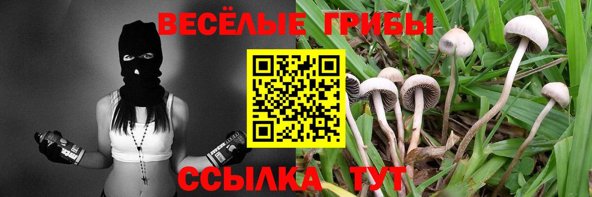 Псилоцибиновые грибы Cubensis  Вход с VPN  Ижевск 
